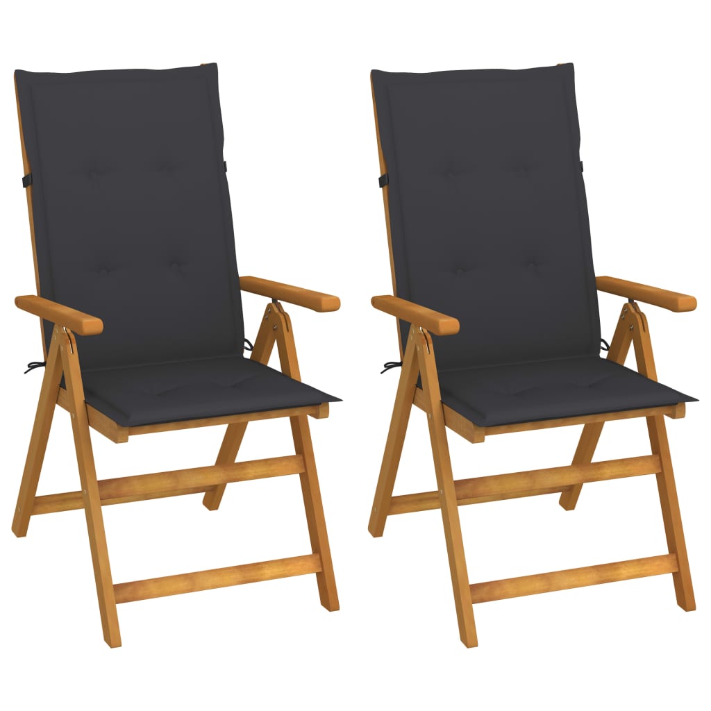 Hagestoler 2 Stk Med Puter Heltre Akasie