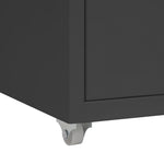 Mobilt Arkivskap Antrasitt 28X41X69 Cm Metall