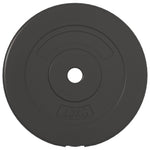 Vektskiver 4 Stk 30 Kg Sement