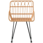 Hagestoler Med Armlener 2 Stk 56X64X80 Cm Pe Rotting