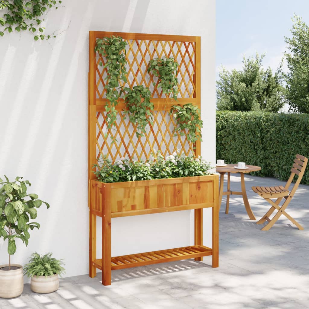 Plantekasse Med Espalier Og Hylle 100X32X185 Cm Heltre Akasie