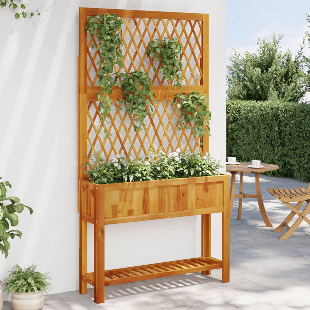 Plantekasse Med Espalier Og Hylle 100X32X185 Cm Heltre Akasie