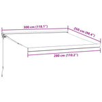 Manuell Uttrekkbar Markise Brun 300X250 Cm
