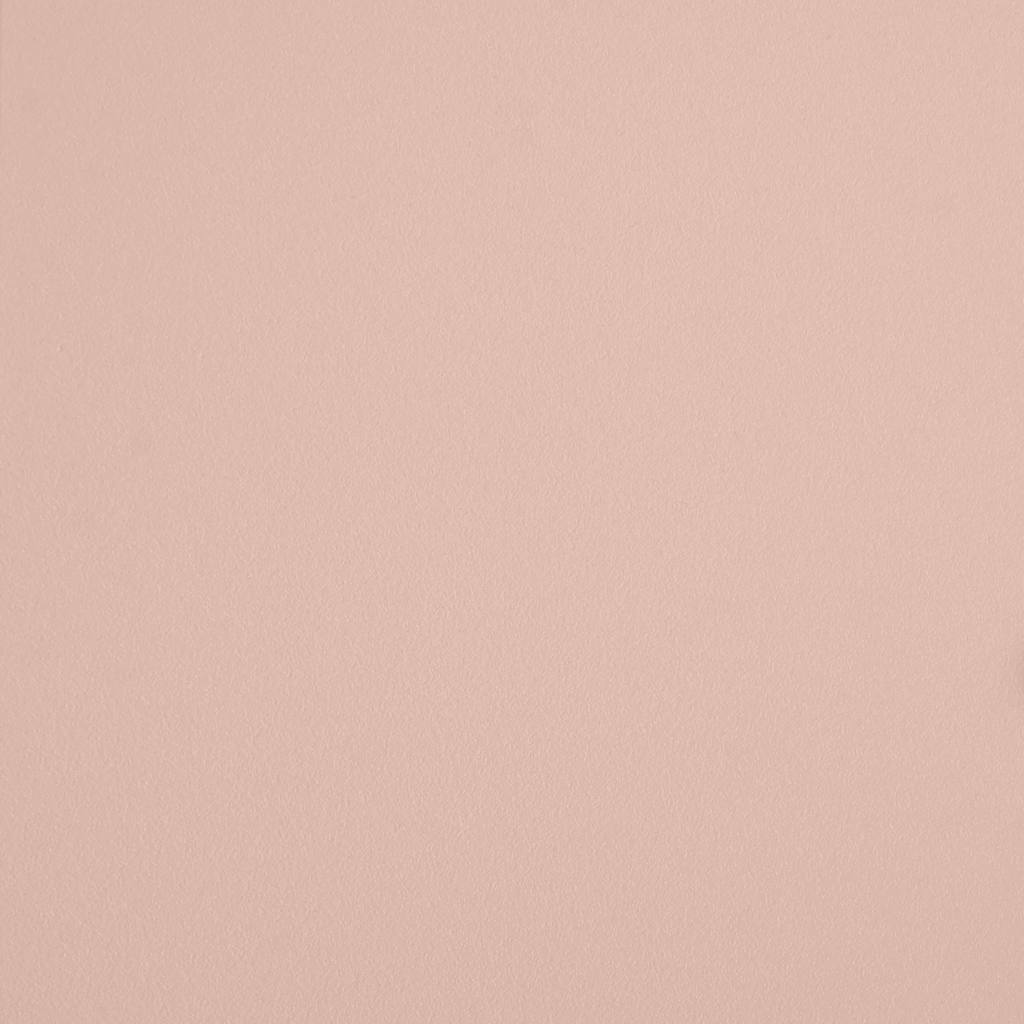 Salongbord Rosa 101,5X50X43,5 Cm Kaldvalset Stål
