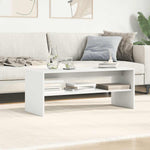 Tv-Benk Hvit 100X40X40 Cm Sponplate